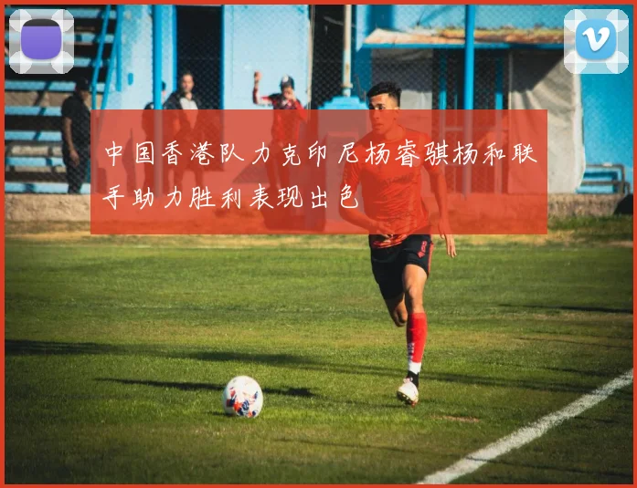 中国香港队力克印尼杨睿骐杨和联手助力胜利表现出色